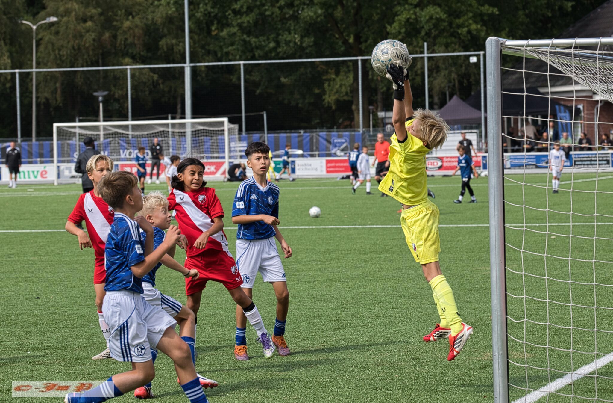 U12 fotolink